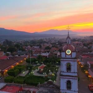 Meet your Posher, Edith